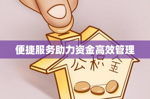 莱城便捷服务助力资金高效管理