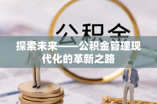 莱城探索未来——公积金管理现代化的革新之路
