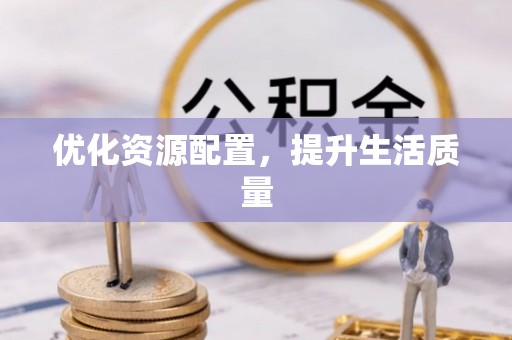 莱城优化资源配置，提升生活质量