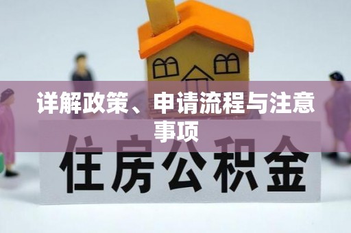莱城详解政策、申请流程与注意事项