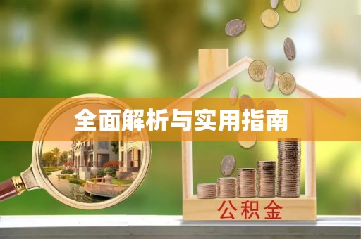 莱城全面解析与实用指南