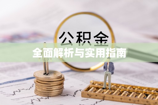 莱城全面解析与实用指南