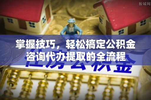 莱城掌握技巧，轻松搞定公积金咨询代办提取的全流程