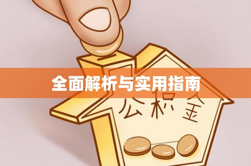莱城全面解析与实用指南