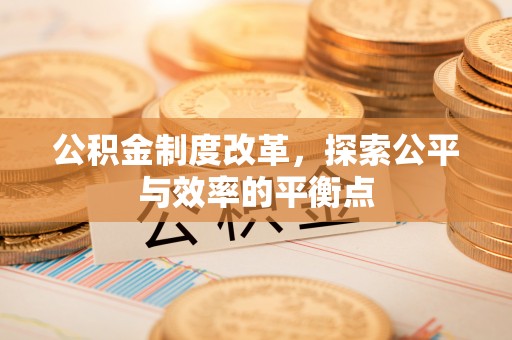 莱城公积金制度改革，探索公平与效率的平衡点