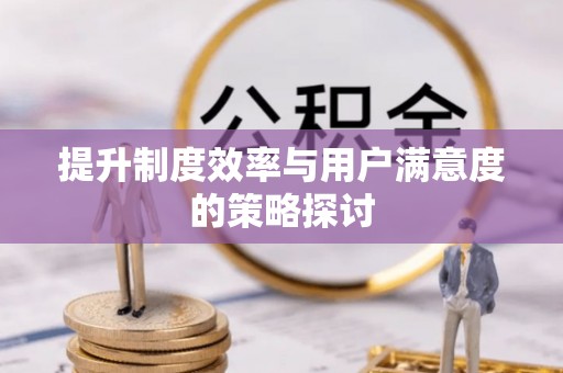 莱城提升制度效率与用户满意度的策略探讨