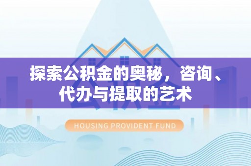 莱城探索公积金的奥秘，咨询、代办与提取的艺术