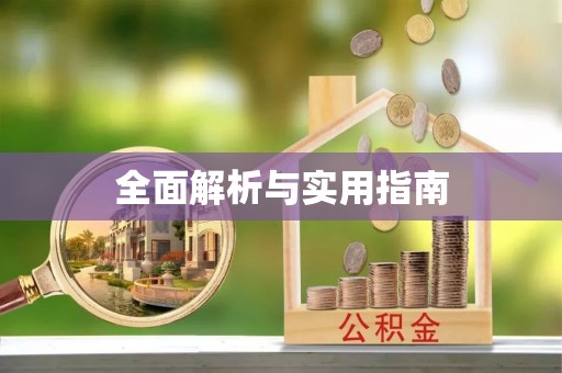 莱城全面解析与实用指南