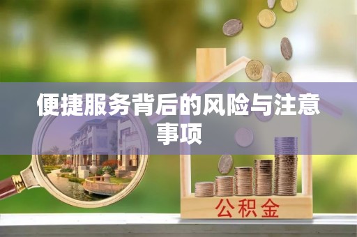 莱城便捷服务背后的风险与注意事项