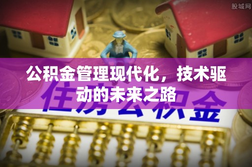 莱城公积金管理现代化，技术驱动的未来之路