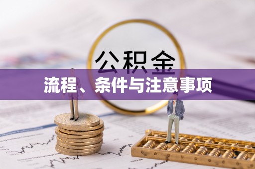 莱城流程、条件与注意事项